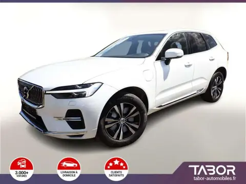 Used VOLVO XC60 Hybrid 2024 Ad 