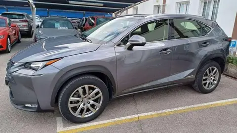 Used LEXUS NX Hybrid 2016 Ad 