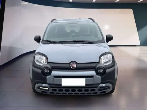 Used FIAT PANDA Hybrid 2021 Ad 