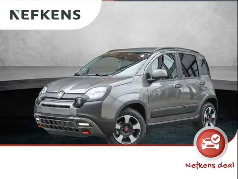 Used FIAT PANDA Hybrid 2024 Ad 