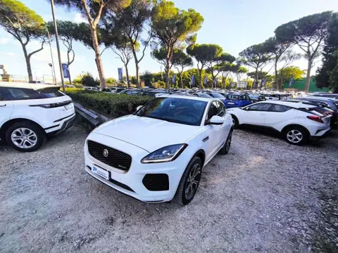 Used JAGUAR E-PACE Hybrid 2020 Ad 