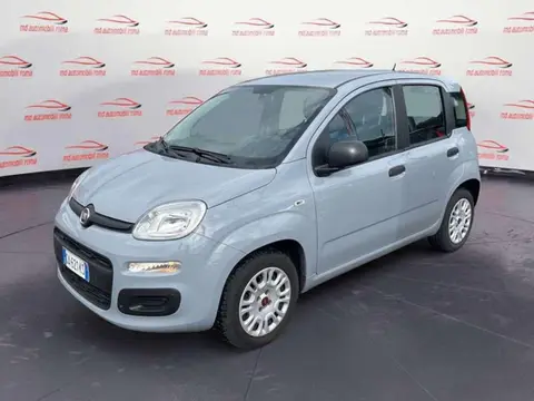 Used FIAT PANDA Petrol 2020 Ad 