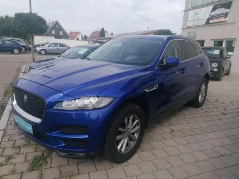 Used JAGUAR F-PACE Diesel 2017 Ad 