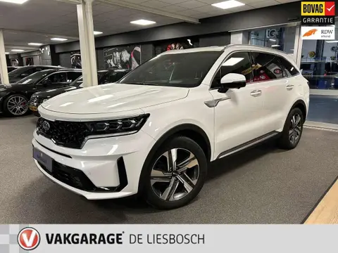 Used KIA SORENTO Hybrid 2021 Ad 