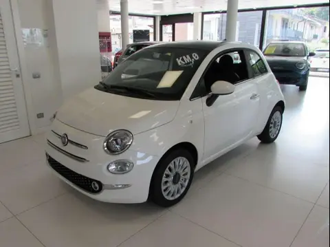 Used FIAT 500 Hybrid 2024 Ad 