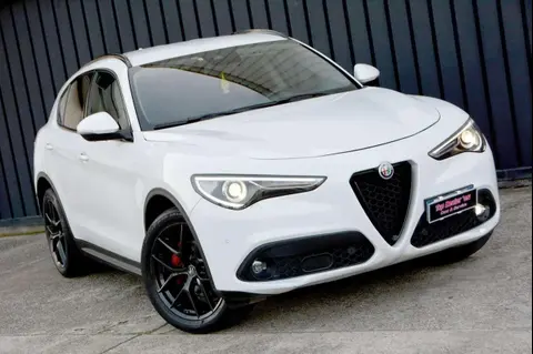 Used ALFA ROMEO STELVIO Diesel 2019 Ad 