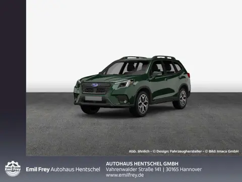 Used SUBARU FORESTER Hybrid 2024 Ad 