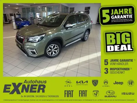 Annonce SUBARU FORESTER Essence 2019 d'occasion 