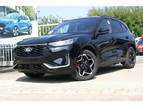 Annonce FORD KUGA Hybride 2024 d'occasion 