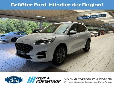 Used FORD KUGA Hybrid 2024 Ad 