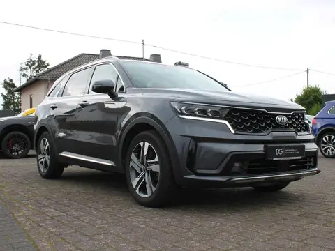 Annonce KIA SORENTO Diesel 2021 d'occasion 