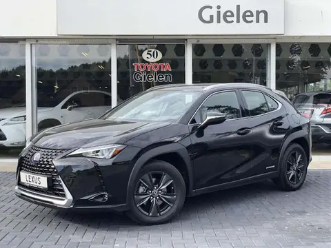 Annonce LEXUS UX Hybride 2019 d'occasion 