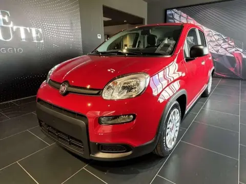 Annonce FIAT PANDA Hybride 2024 d'occasion 