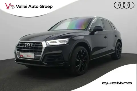 Used AUDI Q5 Hybrid 2021 Ad 