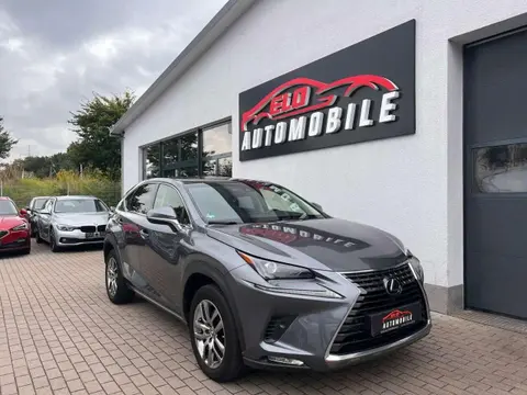 Used LEXUS NX Hybrid 2019 Ad 