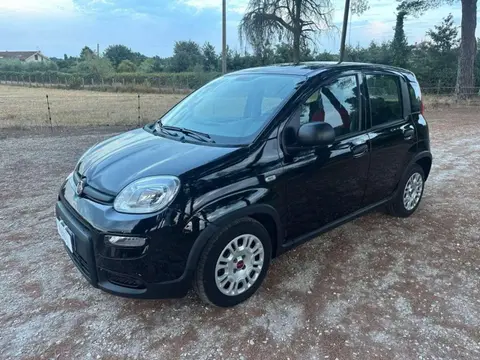 Used FIAT PANDA Hybrid 2023 Ad 