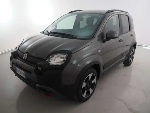 Used FIAT PANDA Hybrid 2023 Ad 