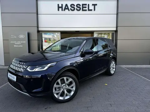 Annonce LAND ROVER DISCOVERY Hybride 2023 d'occasion 