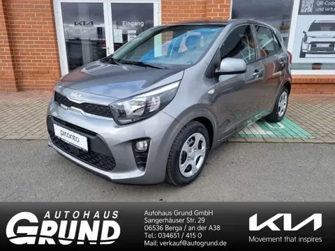 Annonce KIA PICANTO Essence 2024 d'occasion 