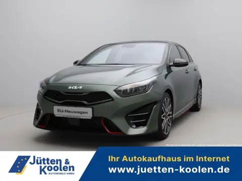 Used KIA CEED Petrol 2024 Ad 