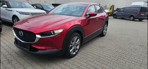 Annonce MAZDA CX-30 Essence 2022 d'occasion 