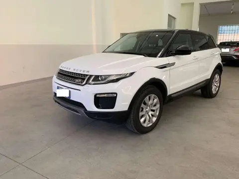 Used LAND ROVER RANGE ROVER EVOQUE Diesel 2019 Ad 