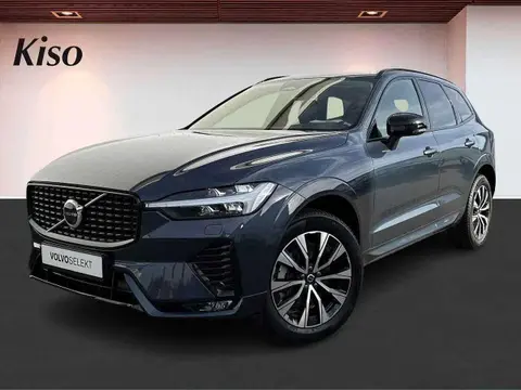 Annonce VOLVO XC60 Diesel 2023 d'occasion 