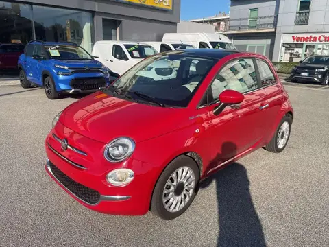 Annonce FIAT 500 Hybride 2021 d'occasion 