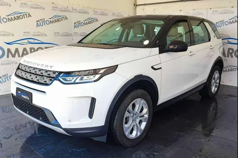 Used LAND ROVER DISCOVERY Hybrid 2020 Ad 