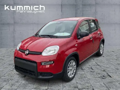 Used FIAT PANDA Hybrid 2024 Ad 