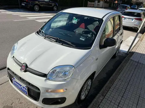 Used FIAT PANDA Diesel 2016 Ad Italy