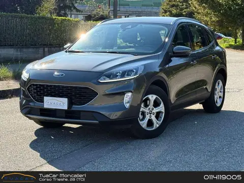 Annonce FORD KUGA Essence 2021 d'occasion 