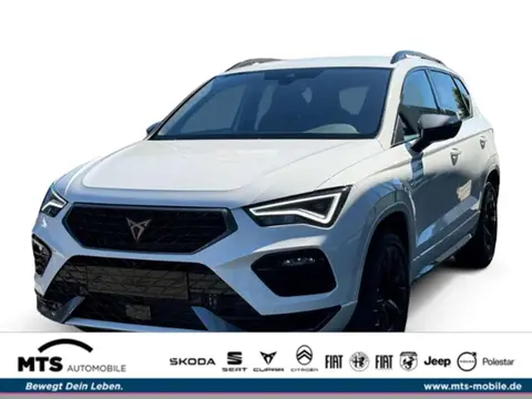 Annonce CUPRA ATECA Essence 2024 d'occasion 