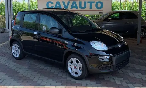 Used FIAT PANDA Hybrid 2024 Ad 