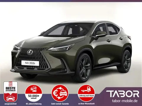 Used LEXUS NX Hybrid 2024 Ad 