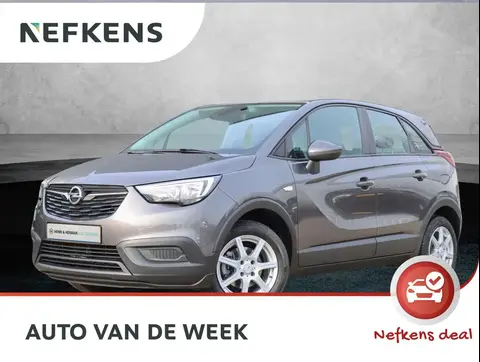 Annonce OPEL CROSSLAND Essence 2019 d'occasion 