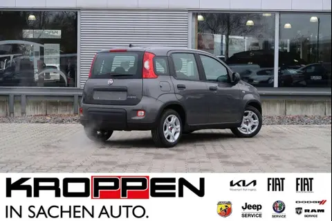 Annonce FIAT PANDA Hybride 2024 d'occasion 