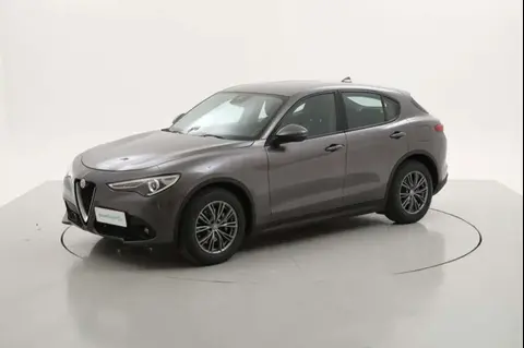 Used ALFA ROMEO STELVIO Diesel 2019 Ad 