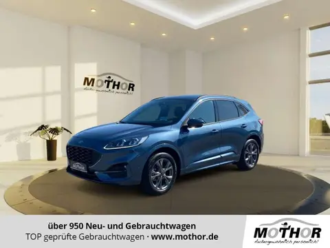 Used FORD KUGA Hybrid 2023 Ad 