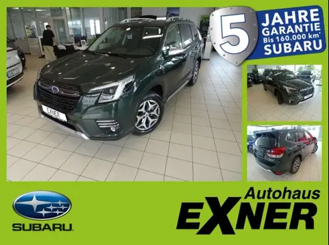 Used SUBARU FORESTER Petrol 2024 Ad 