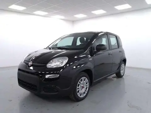 Annonce FIAT PANDA GPL 2023 d'occasion 