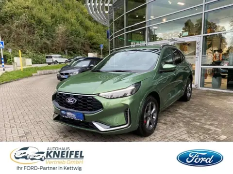 Annonce FORD KUGA Essence 2024 d'occasion 