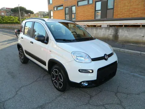 Annonce FIAT PANDA  2021 d'occasion 