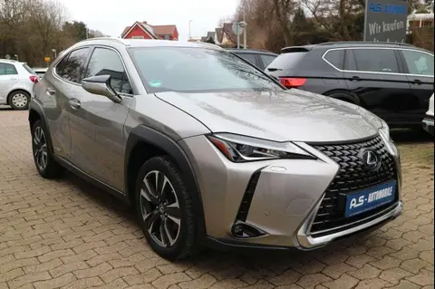 Used LEXUS UX Hybrid 2020 Ad 