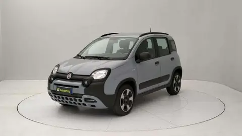 Used FIAT PANDA Hybrid 2021 Ad 