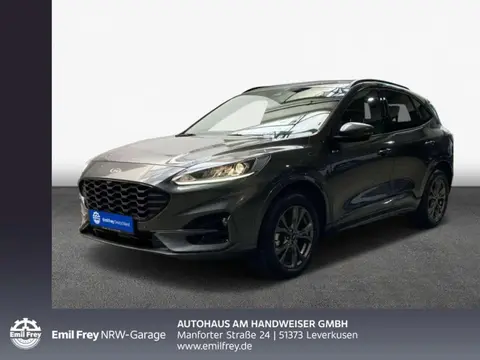 Used FORD KUGA Hybrid 2022 Ad 