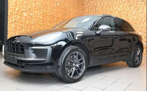 Used PORSCHE MACAN Petrol 2023 Ad 