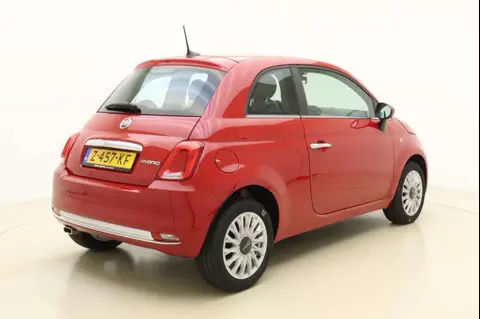 Used FIAT 500 Hybrid 2024 Ad 