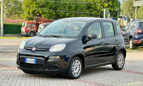 Used FIAT PANDA Hybrid 2024 Ad 