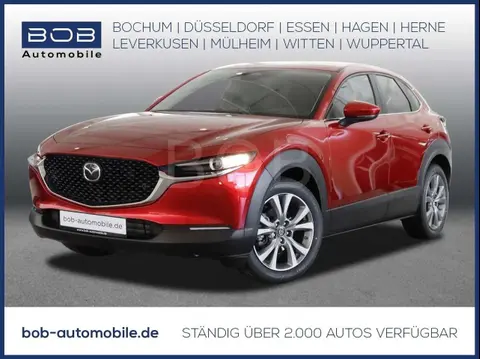 Used MAZDA CX-30 Petrol 2024 Ad 